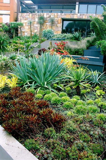 Bellevue Hill Grandeur