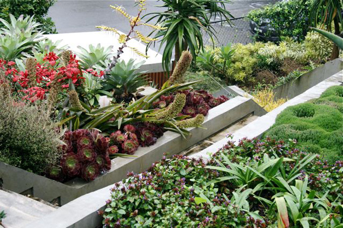 Bellevue Hill Grandeur