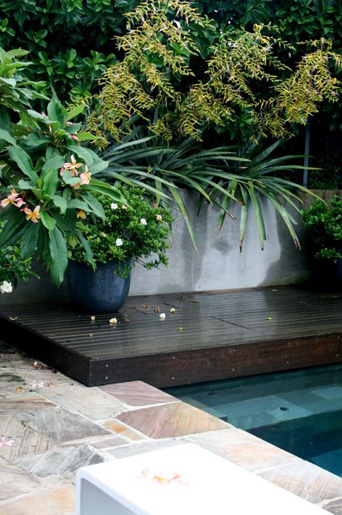 Bellevue Hill Grandeur