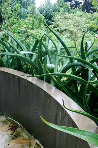 Bellevue Hill Grandeur