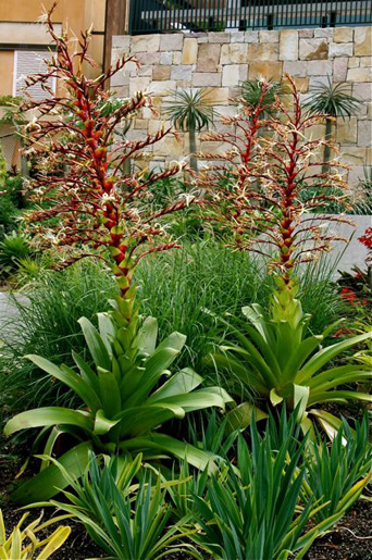 Bellevue Hill Grandeur