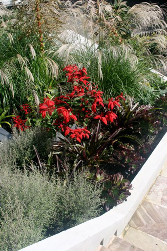 Bellevue Hill Grandeur