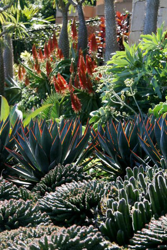 Bellevue Hill Grandeur