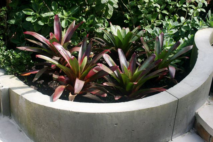 Bellevue Hill Grandeur