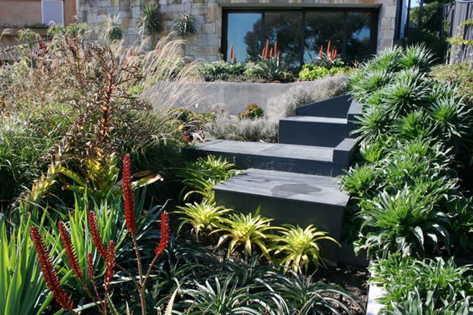 Bellevue Hill Grandeur