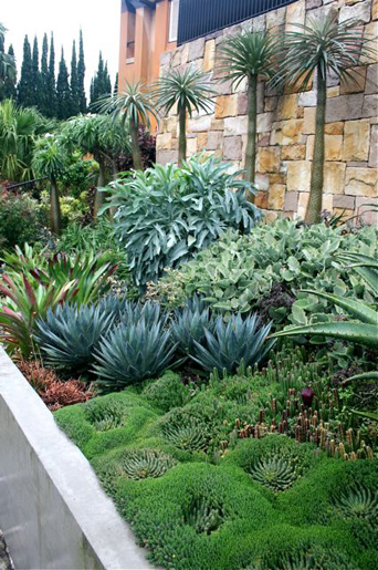 Bellevue Hill Grandeur