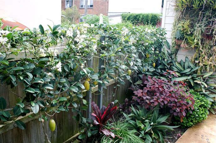 Camperdown Texture Plot