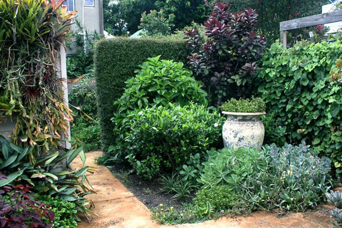 Camperdown Texture Plot