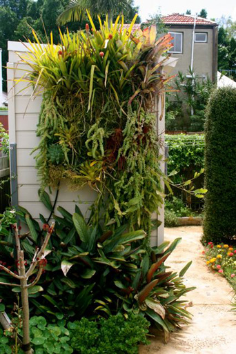 Camperdown Texture Plot