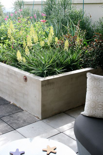 Cremorne Rooftop Glamour