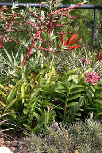 Cremorne Rooftop Glamour