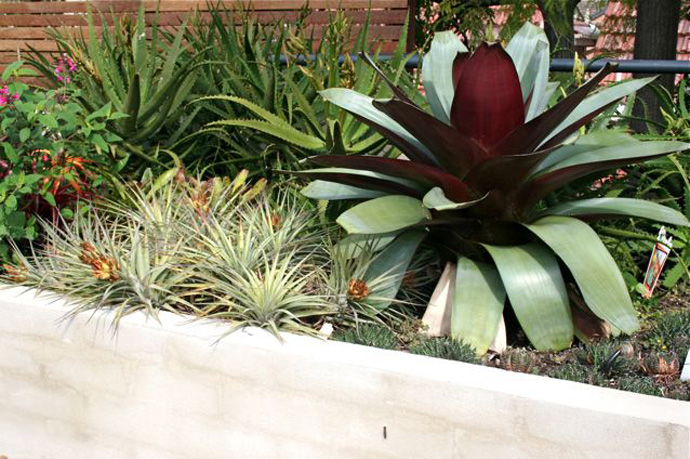 Cremorne Rooftop Glamour