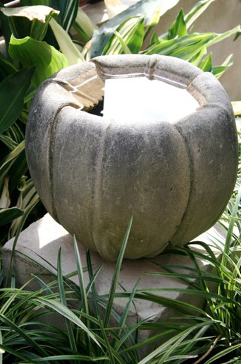 Cremorne Rooftop Glamour