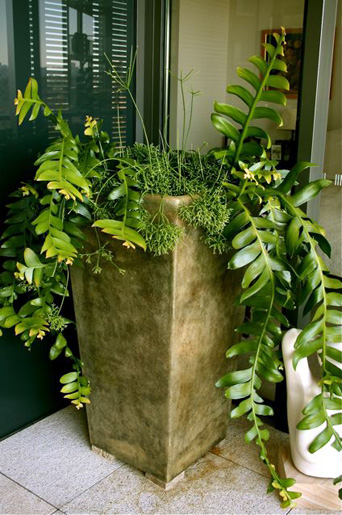 Pyrmont Stonecutters Apartments