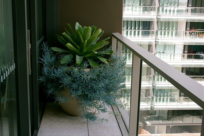 Pyrmont Stonecutters Apartments