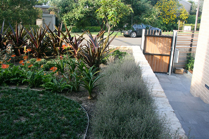 Vaucluse Rain Garden