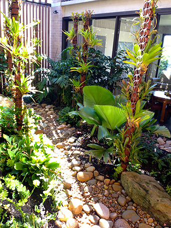 Vaucluse Rain Garden