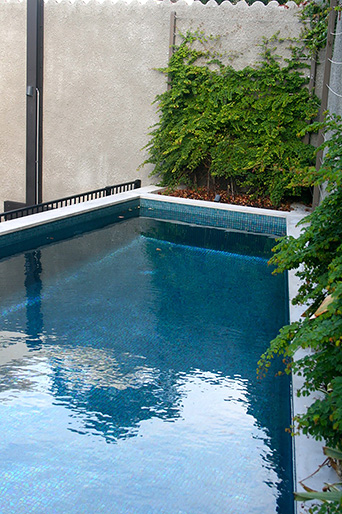 Vaucluse Rain Garden