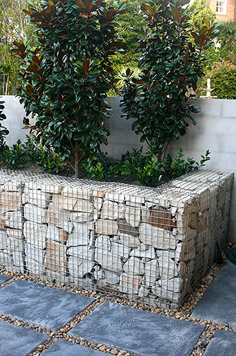 Vaucluse Rain Garden