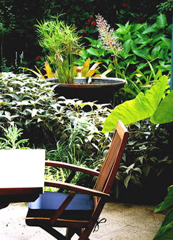 Neutral Bay Garden Gallery